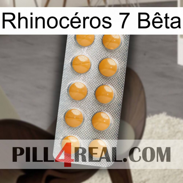 Rhinocéros 7 Bêta levitra1